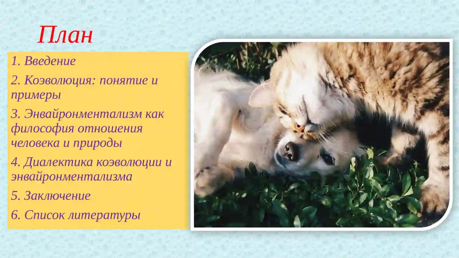 Диалектика коэволюции и энвайронментализма 2