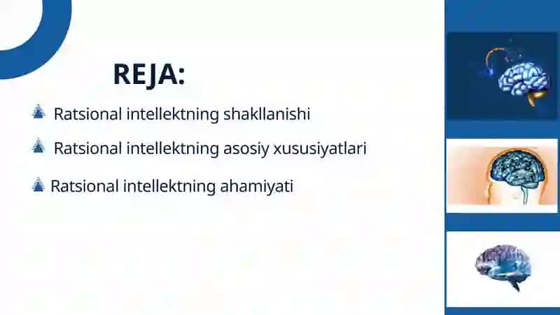 Ratsional intellektning shakllanishi 2