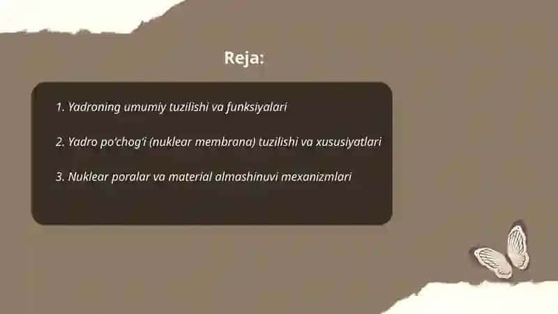 Yadro va yadrochaning tuzulishi 2