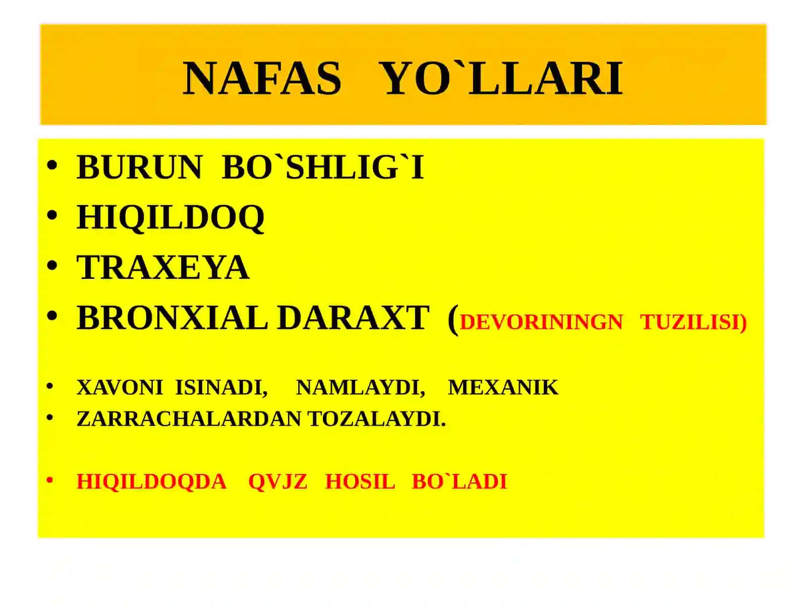 NAFAS OLISH SISTEMASI ma’ruzarejasi 2