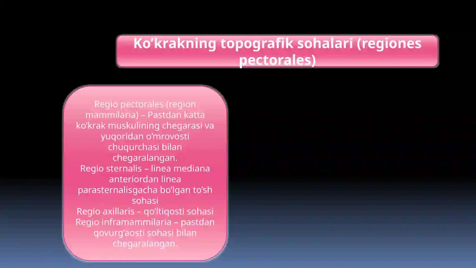 Ko’krak vaqorin mushaklari anatomiyasi 2