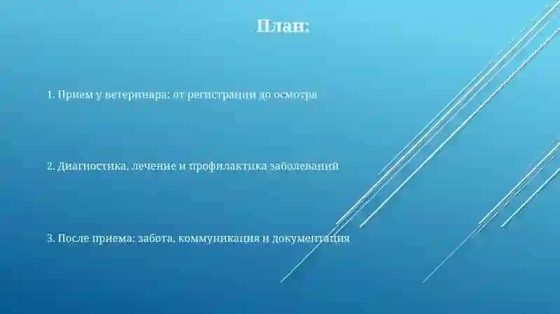 Уветврача.ВВетклинике. 2