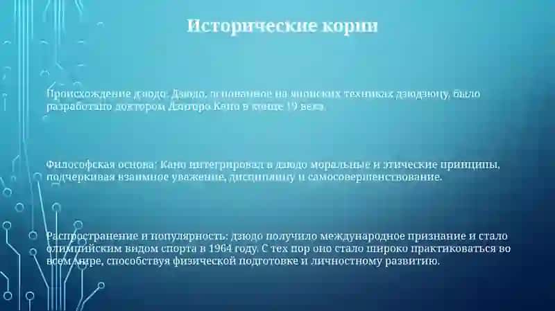Дзюдо 2