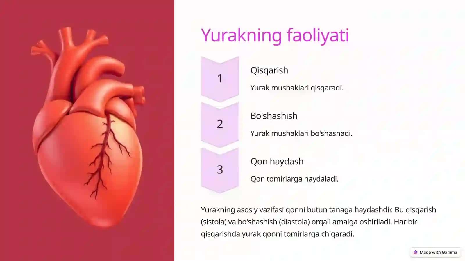 Yurak-qon tomir fiziologiyasi 2