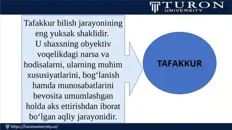 Tafakkurhaqidatushuncha 2