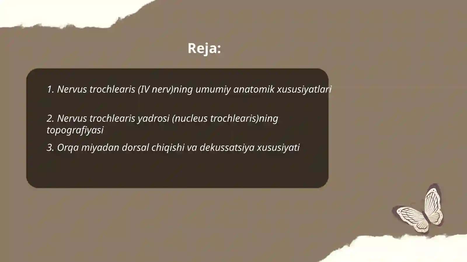Nervus trochlearis klinik anatomiyasi 2