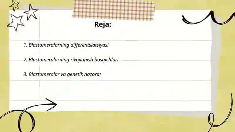 Blastomeralar Differensiasiyasi 2