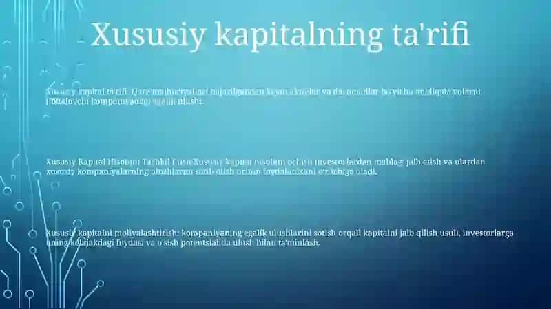 Xususiy Kapital Hisobini Tashkil Etish 2