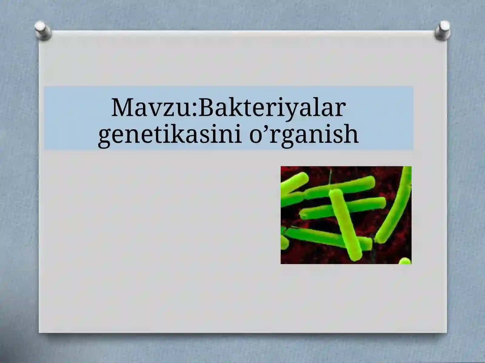 Bakteriyalar genetikasi 2