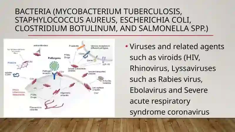 Factors determining the severity of infection 2