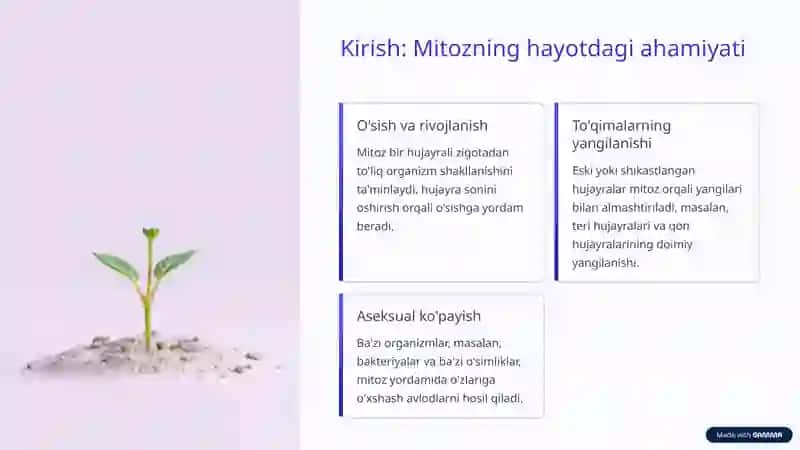 Mitozning ahamiyati 2