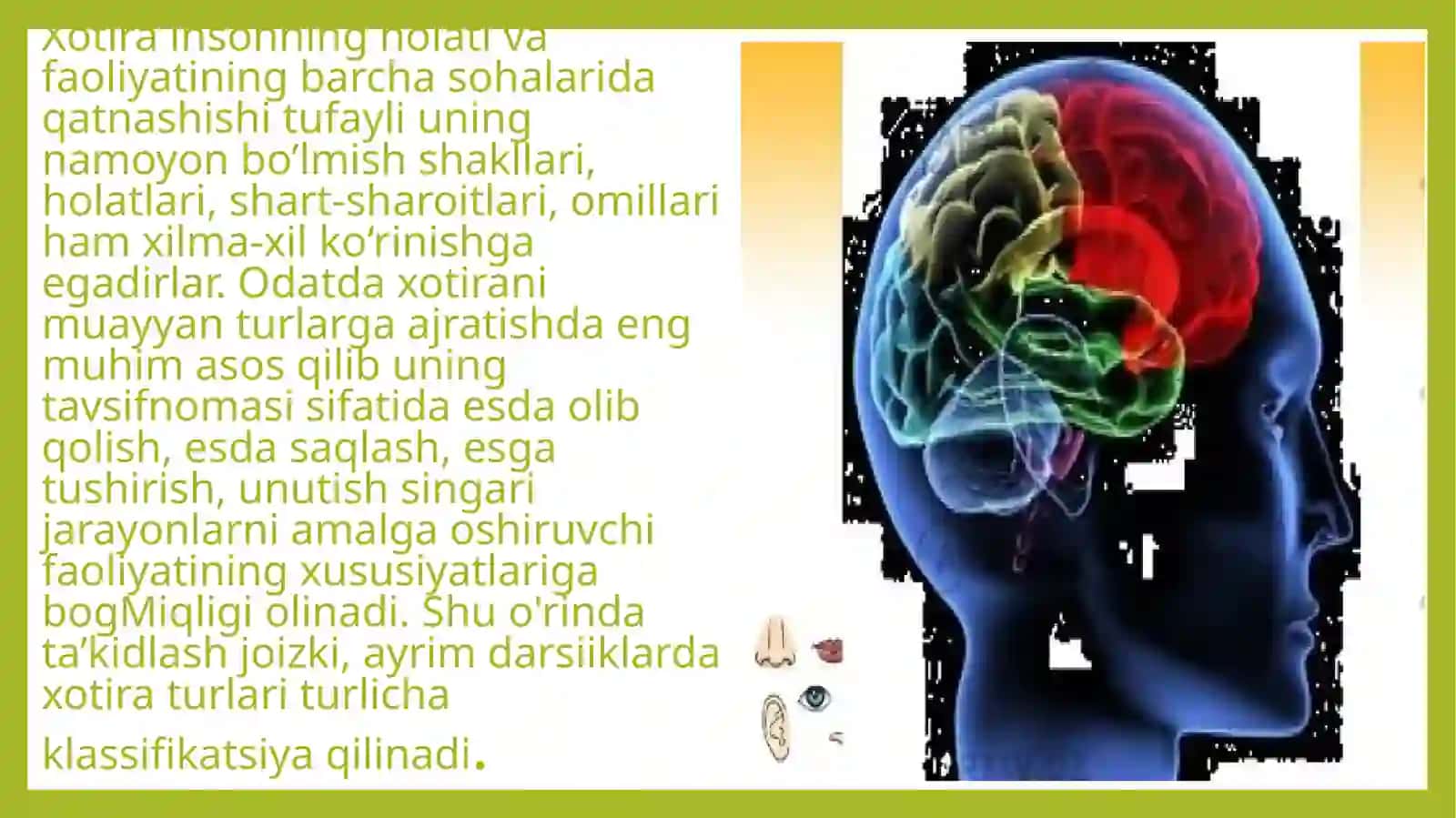 Xotira turlari klassifikatsiyasi 2