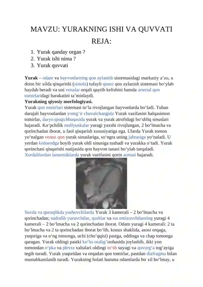 Yurakning ishi va quvvati 2