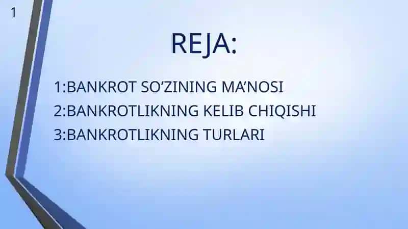 BANKROTLIK TUSHUNCHASI 2