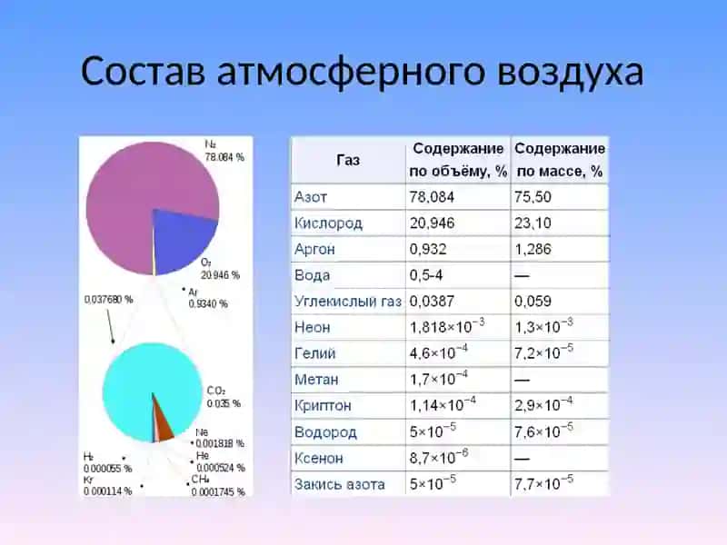 Микрофлора воздуха 2