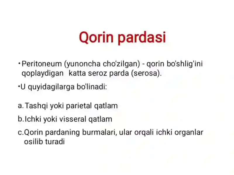 Qorin pardasi 2