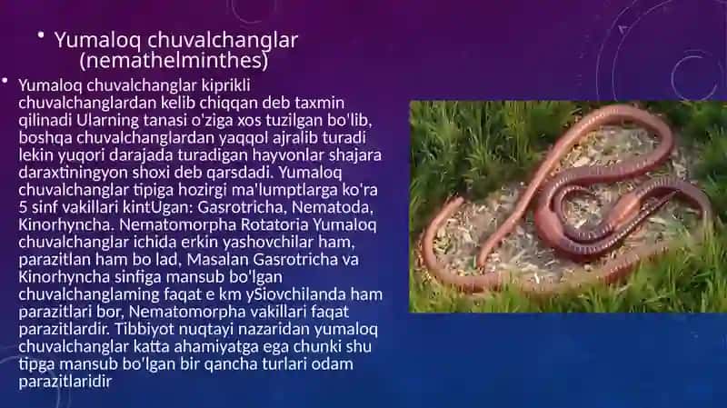 Yumaloqchuvalchanglar 2