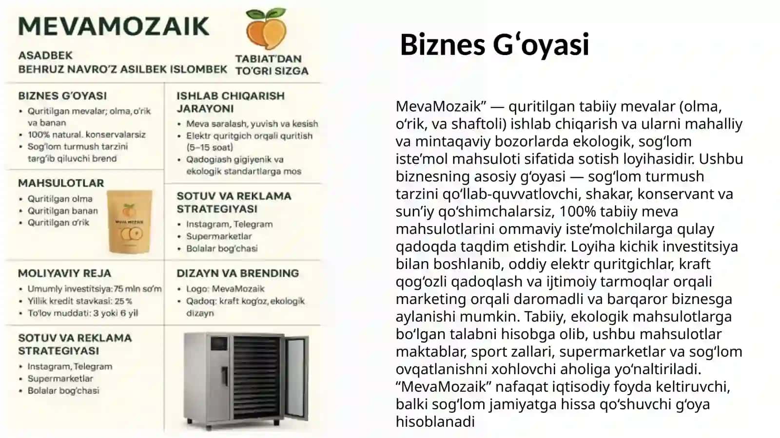 MevaMozaik 2