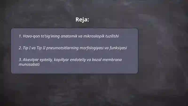 Hav va Qon To'sig'ining Tuzilishi, Vazifalari va Patologiyasi 2