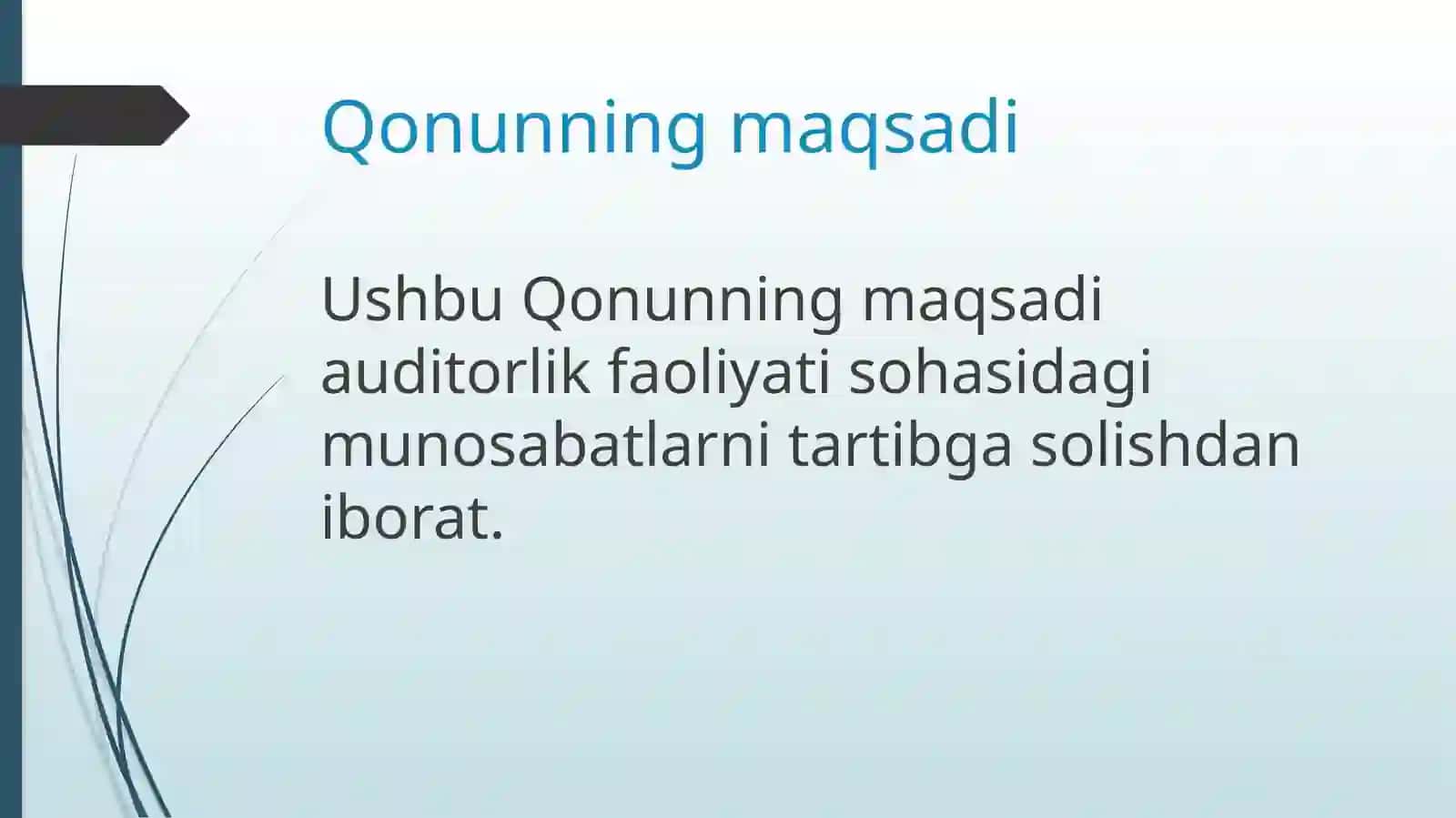 Auditorlik faoliyati to‘g‘risida Qonun 2
