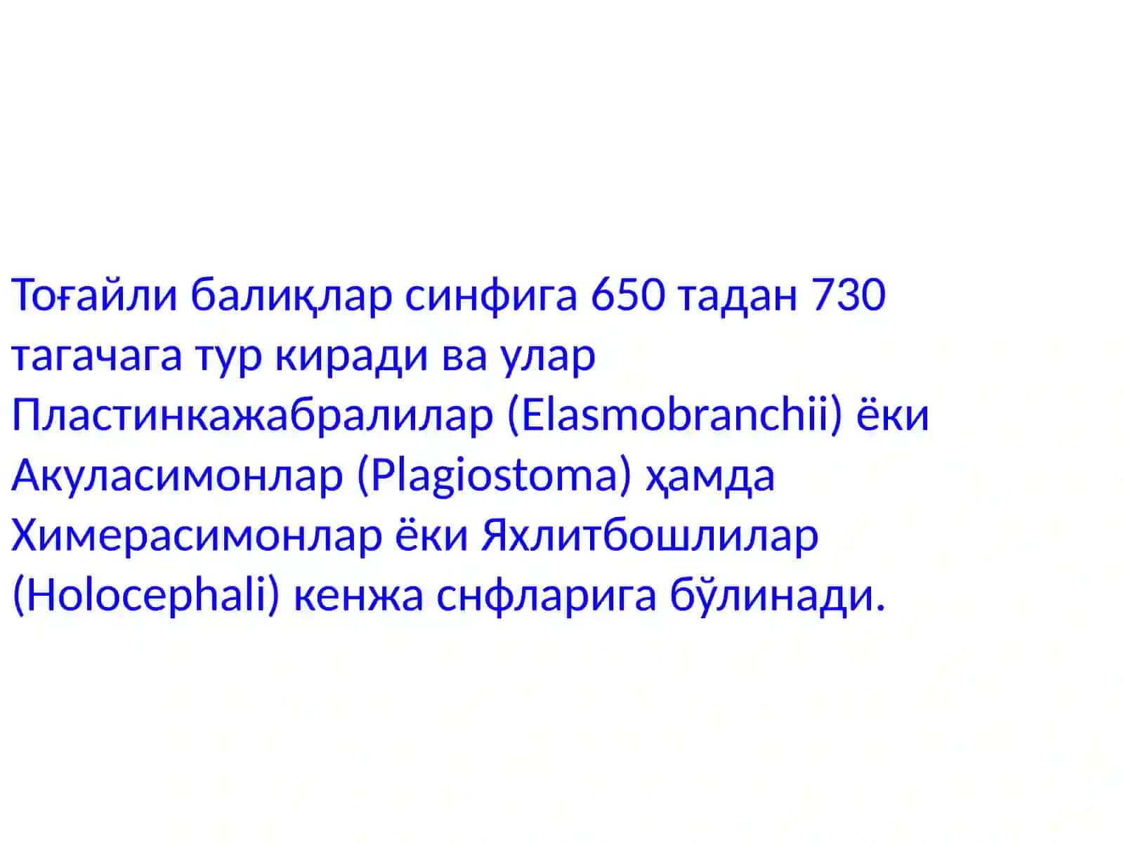 Балиқлар катта синфи 2