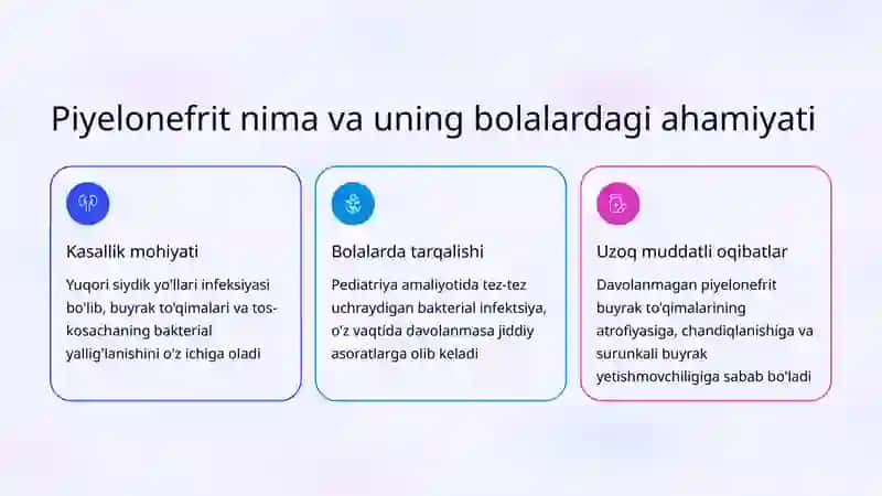 Buyrak infeksiyalarining zamonaviy tashxislash va davolash prinsiplariga umumiy qarash 2