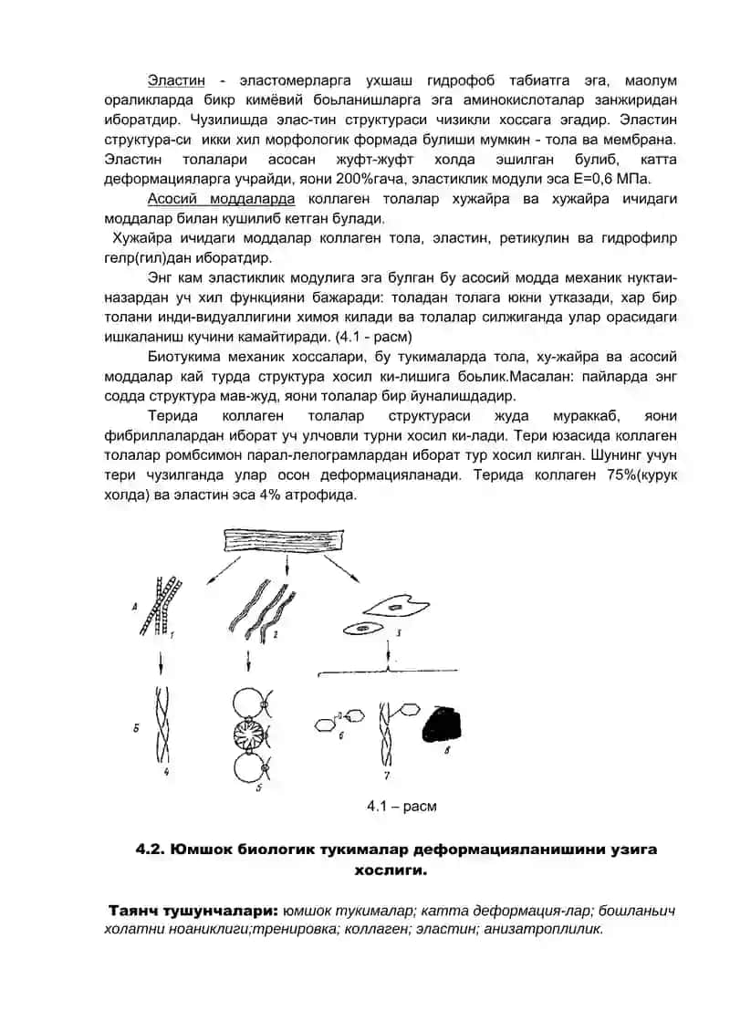 Юмшок биологик тукималар 2