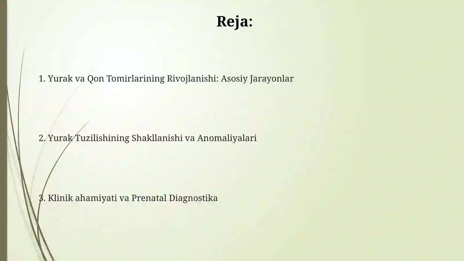 Kardiovaskulyar embriologiya 2