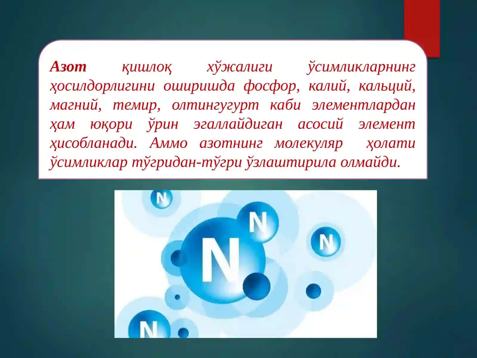 Азотни табиатда алмашинишида микроорганизмларнинг роли 2