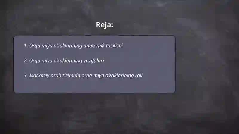Orqa miya oʻzaklarining anatomik tuzilishi 2