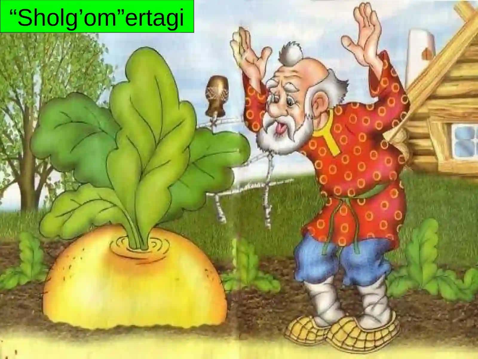 Sholg’om ertagi 2