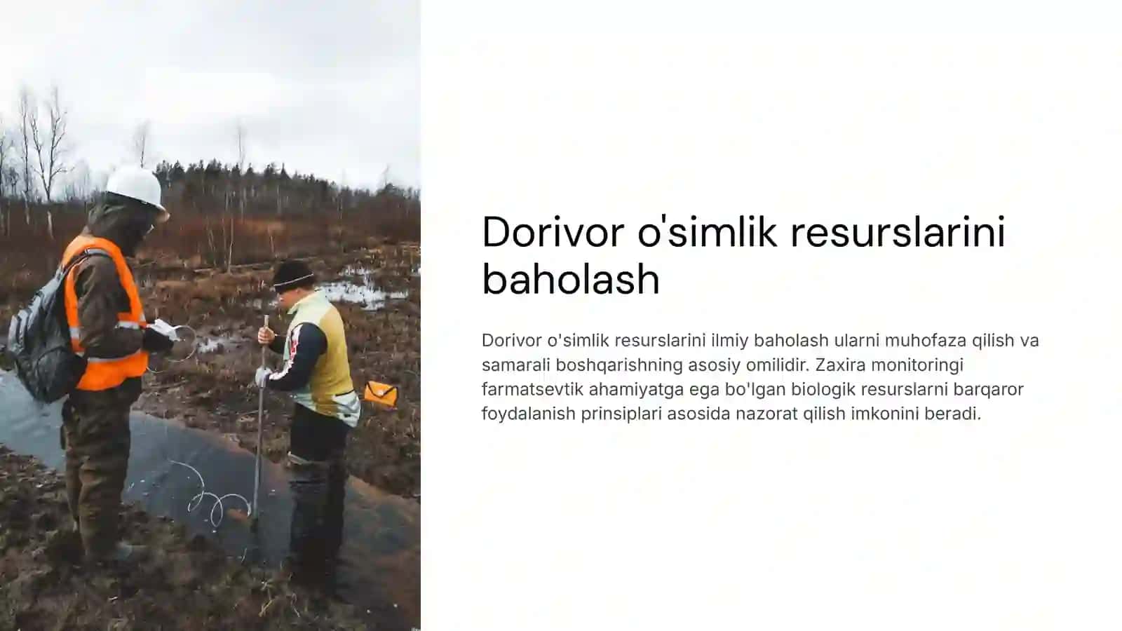 Dorivor o'simlik resurslarini baholash 2