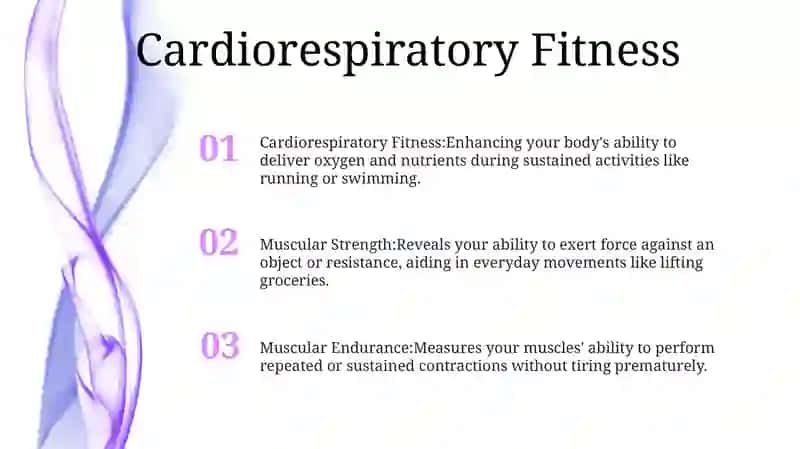 Types Of Physical Fitness 2