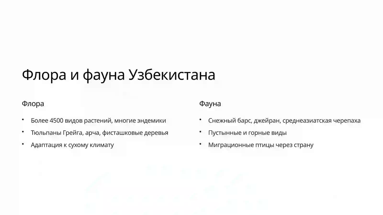 Флора и фауна Узбекистана 2