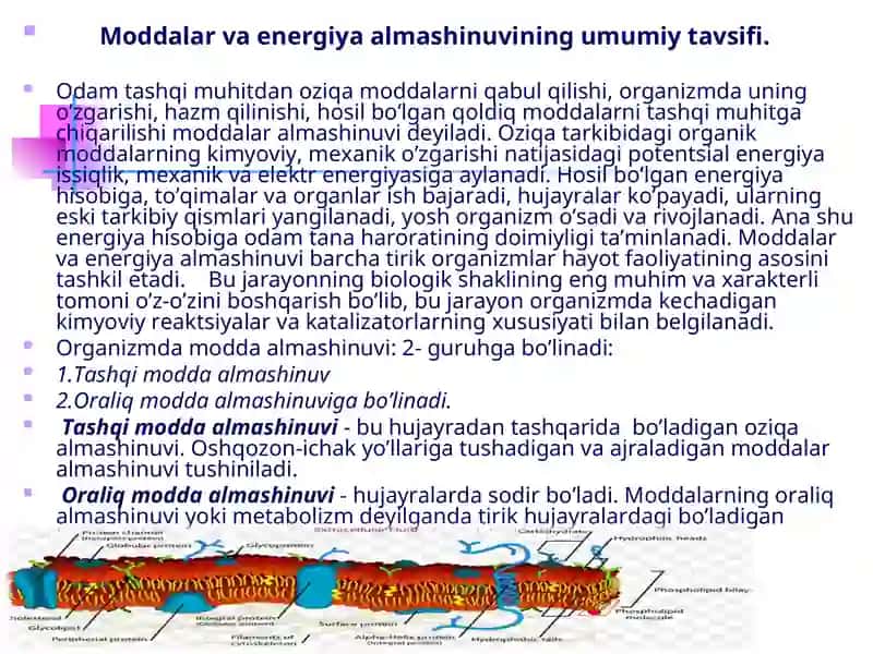 Bioenergetika va metabolizm 2