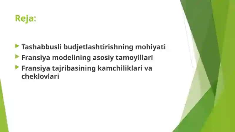 Tashabbusli budjetlashtirishning Fransiya tajribasi 2