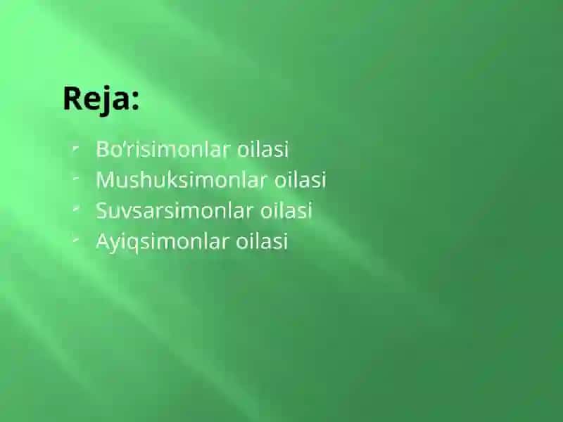 Yirtqich sutemizuvchilar turkumi 2