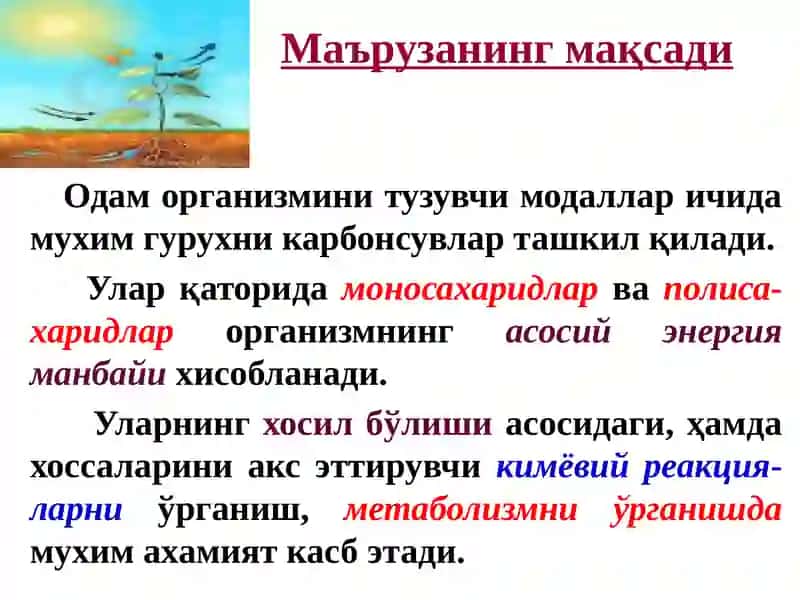 Карбонсувлар.Тузилиши,хоссаларивафункциялари 2