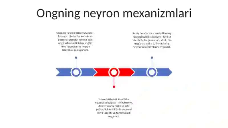 Psixik Xususiyat Va Holatlarning Neyropsixologik Asoslari 2