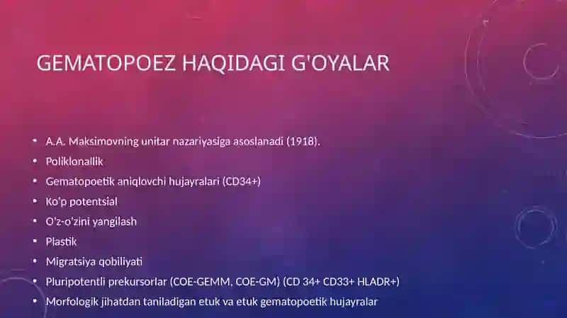 Gematopoez nazariyasi 2