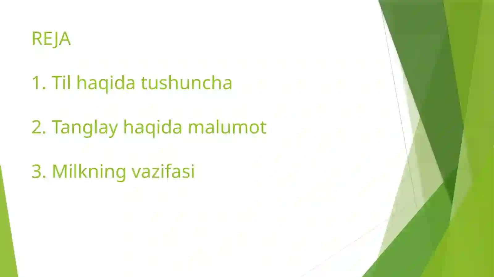 TIL TANGLAY VA MIK ANATOMIYASI 2