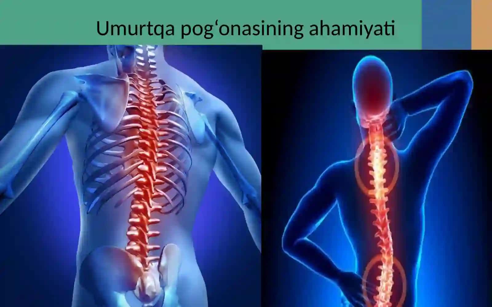 Qad-qomatning shakllanishi 2