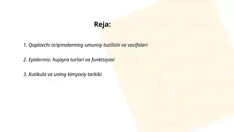 Qoplovchi to'qimalar 2