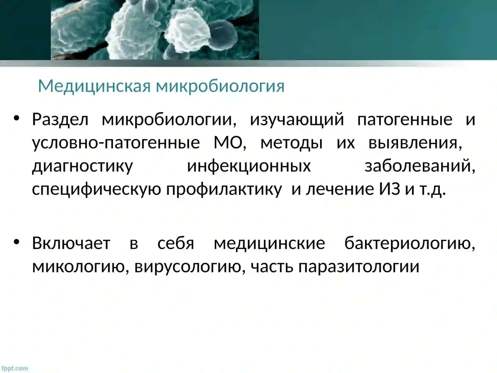 Медицинская микробиология 2