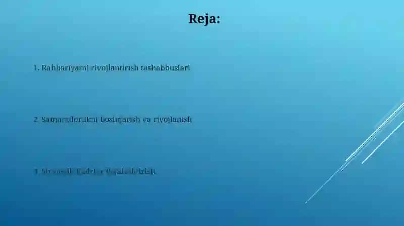 Strategik Inson Kapitalini Boshqarish 2