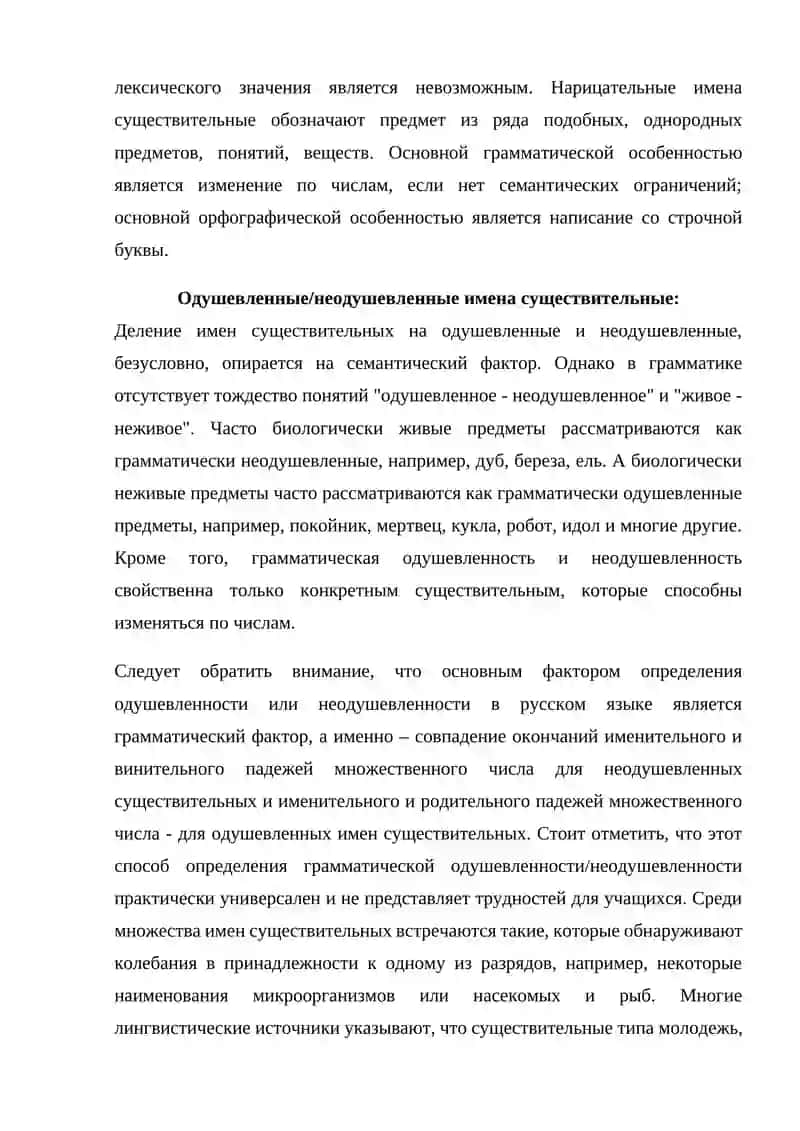 Существительное в русском языке 2