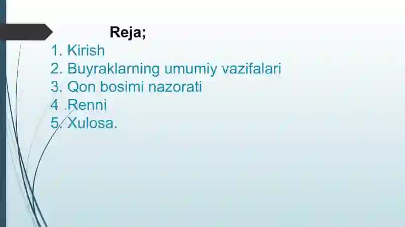 Buyraklarbosimi’’fiziologiyasi 2