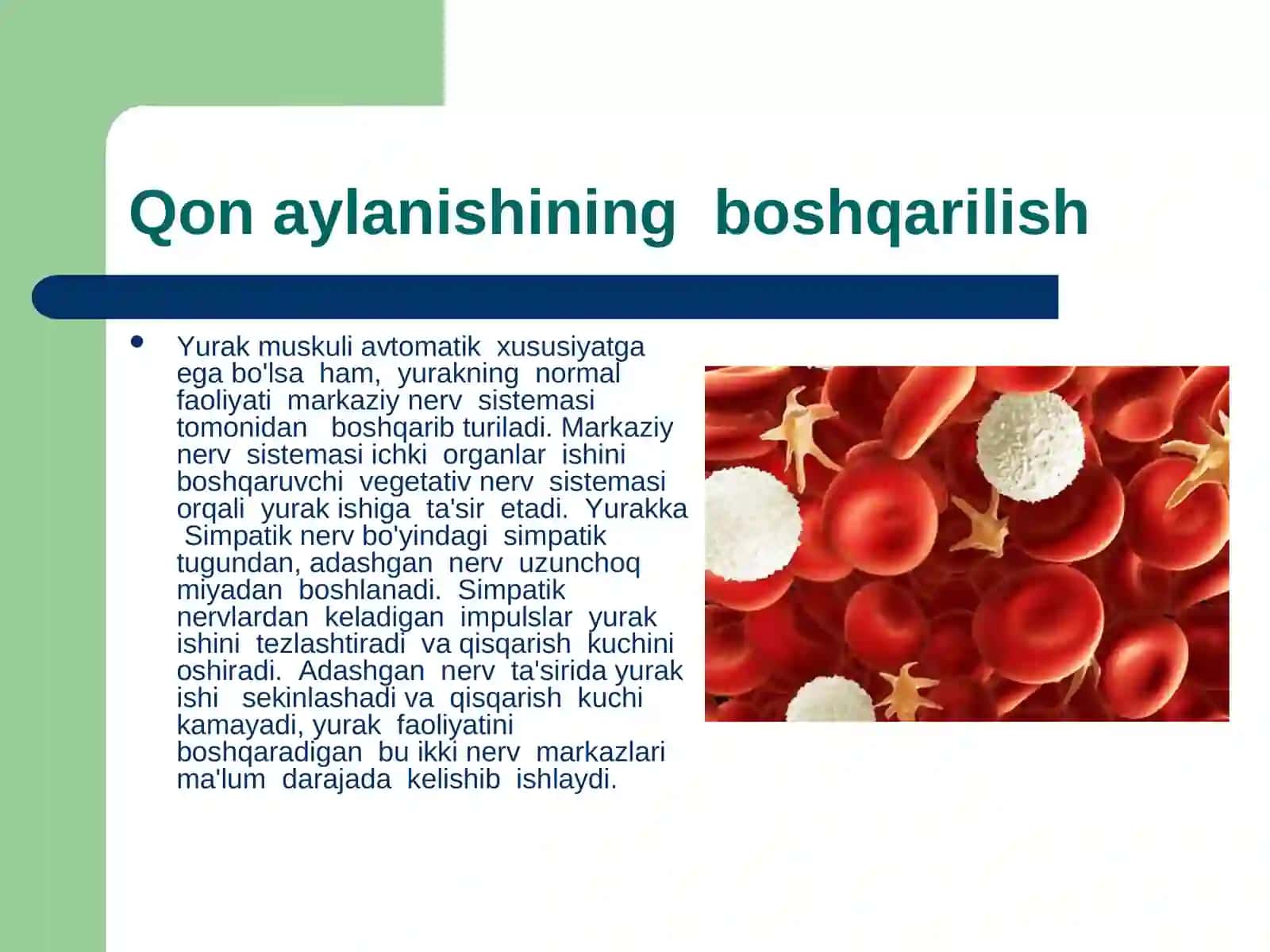 Qon aylanishini yosh xususiyatlariva gigiyenasi 2
