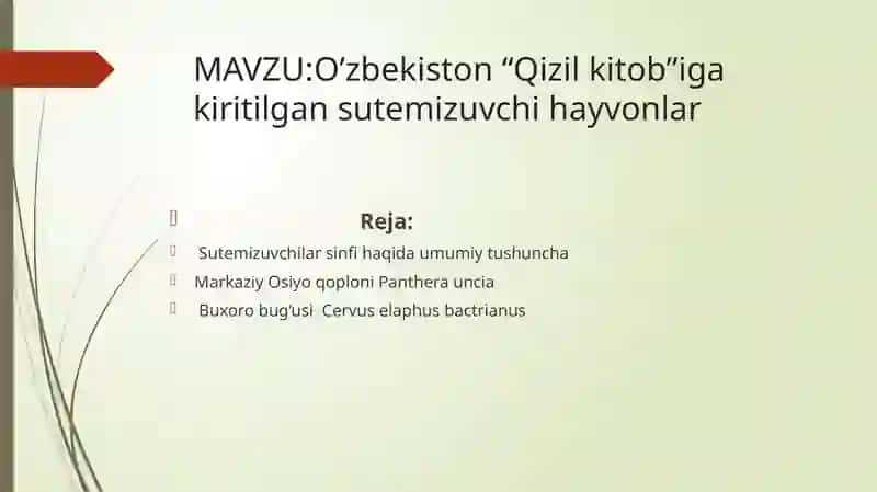 Sutemizuvchilar(Mammalia) 2