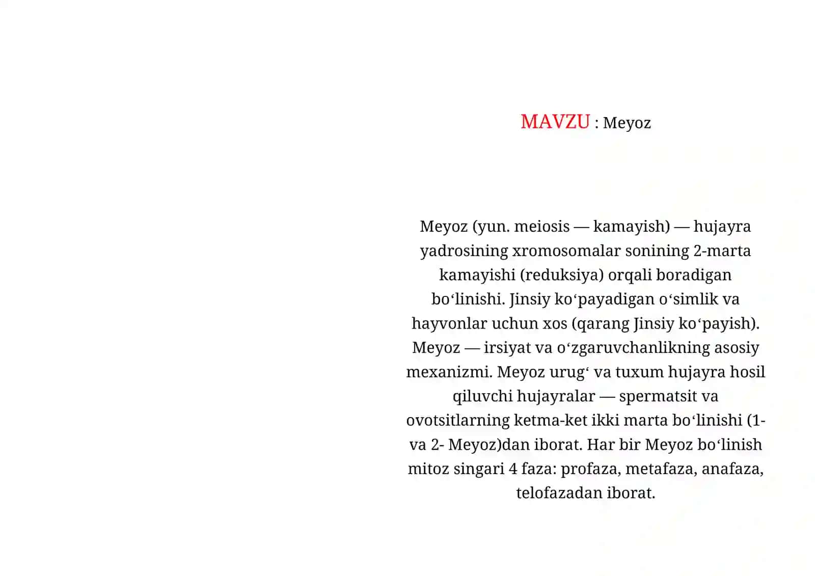 Meyoz 2